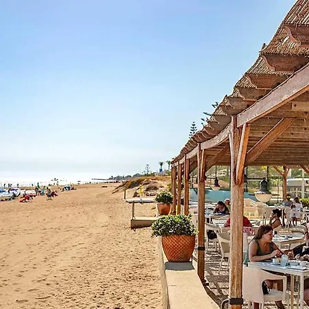 El Palmeral I